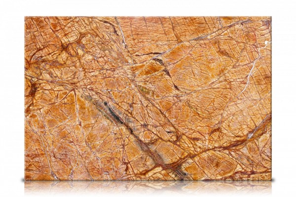 Rain Forest Gold